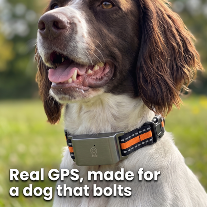 Barkspot™ GPS Dog Collar — Real-Time Tracking, No Monthly Subscription
