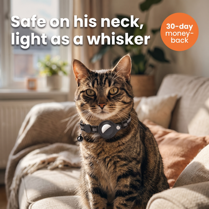 Purrspot™ GPS Cat Collar — No Subscription, No Nightly Charging