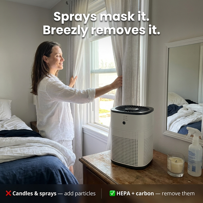 Breezly™ 3-Stage Air Purifier with Aroma | Novell Home