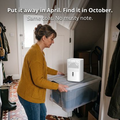 Absorbly™ — Sealed-Space Moisture Absorber for Wardrobes, Cupboards & Caravans