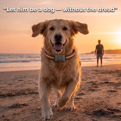 Barkspot™ GPS Dog Collar — Real-Time Tracking, No Monthly Subscription