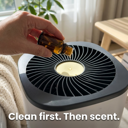 Breezly™ 3-Stage Air Purifier with Aroma | Novell Home