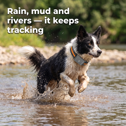 Barkspot™ GPS Dog Collar — Real-Time Tracking, No Monthly Subscription