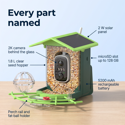 Birdly™ Smart Bird Feeder Camera — See The Birds You've Fed For Thirty Years