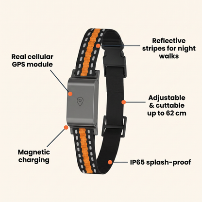 Barkspot™ GPS Dog Collar — Real-Time Tracking, No Monthly Subscription