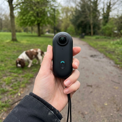 Snaply held in hand before a dog walk